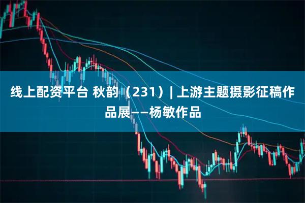 线上配资平台 秋韵（231）| 上游主题摄影征稿作品展——杨敏作品
