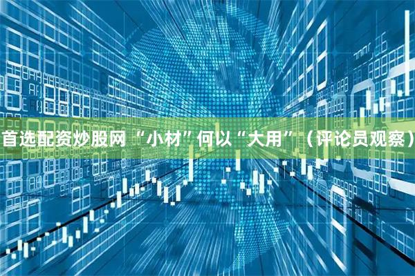 首选配资炒股网 “小材”何以“大用”（评论员观察）