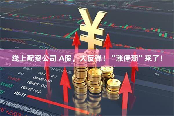 线上配资公司 A股，大反弹！“涨停潮”来了！
